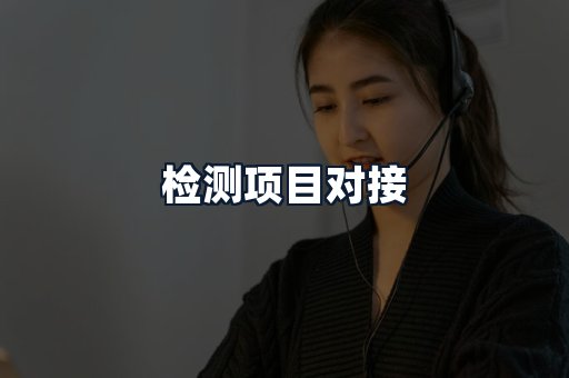 检测项目对接