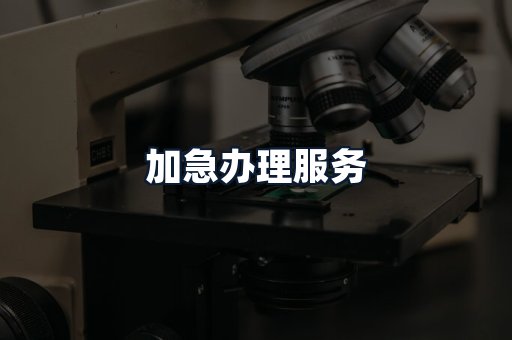 加急办理服务